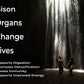 Grass Fed Bison Organs - 3000mg