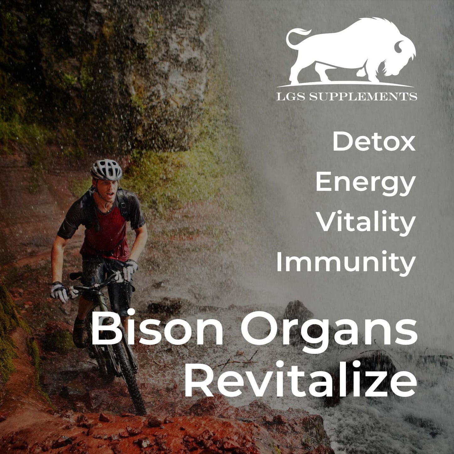 Grass Fed Bison Organs - 3000mg