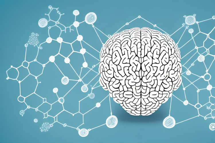 The Importance of Vitamin B12 for Energy and Brain Function – LGS ...